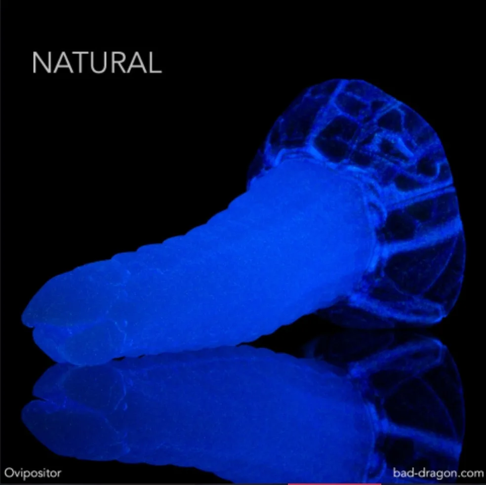 A glowing blue, segmented ovipositor, likely from a wasp or similar insect, is shown against a black background with a…