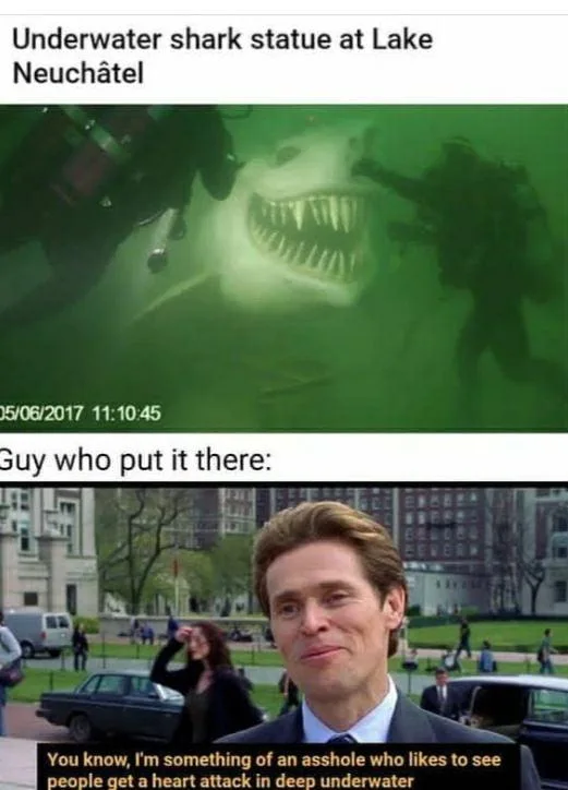 The image is split into two panels. The top panel shows two scuba divers in murky green water facing a large, toothy shark…