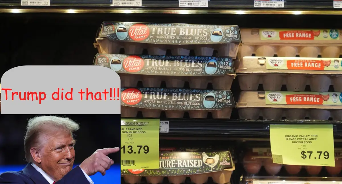 A supermarket egg shelf displays 'True Blues' pasture-raised heirloom blue eggs priced at $13.79, juxtaposed with a photo of…