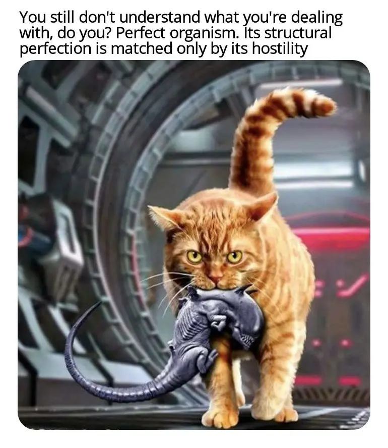 An orange tabby cat with an angry expression is holding a grey alien creature in its mouth, standing in front of a…