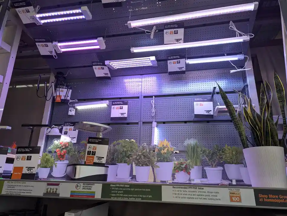 Our Colorado Home Depot has a special section for 'plant' lights!