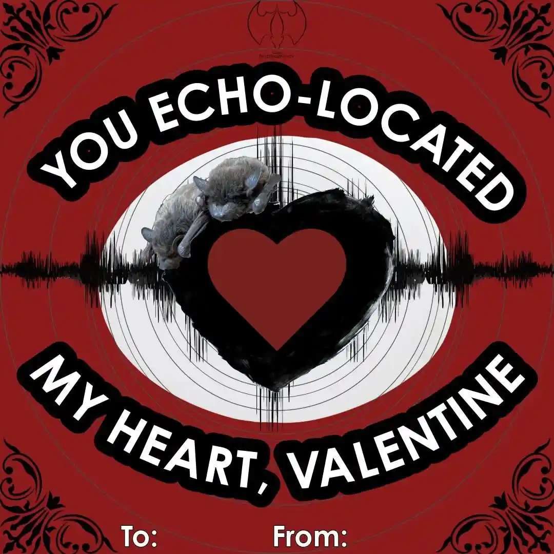 A red Valentine's Day card template features two bats perched on a black heart with a red center, set against a white…