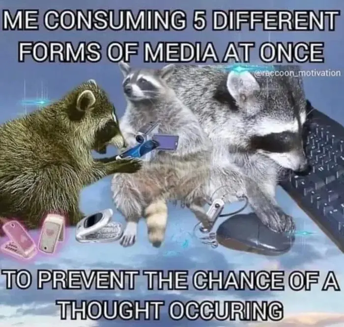 Three raccoons are depicted multitasking with various electronic devices: one holds a smartphone, another uses a keyboard…