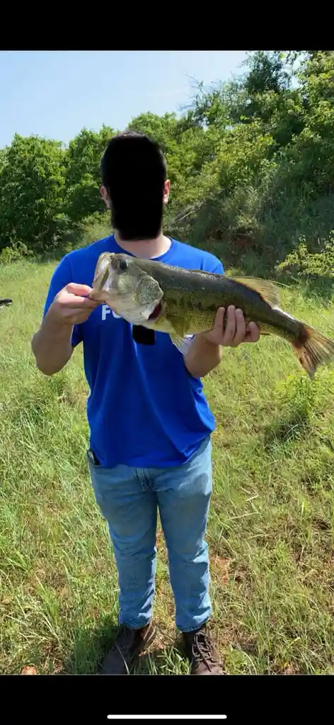A man in a blue t-shirt and jeans stands in tall grass holding a large bass fish, with his face obscured by a black box. He…