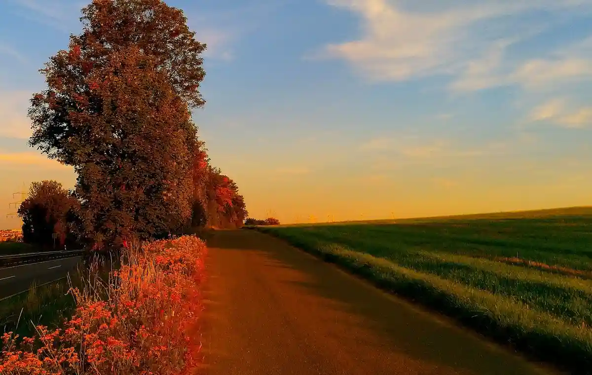 A scenic rural road at sunset, flanked by trees with autumnal foliage on the left and a green field on the right, with…