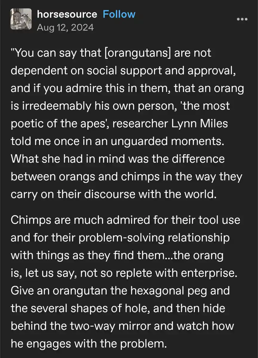 A screenshot of a social media post with white text on a dark background, quoting researcher Lynn Miles about orangutans…