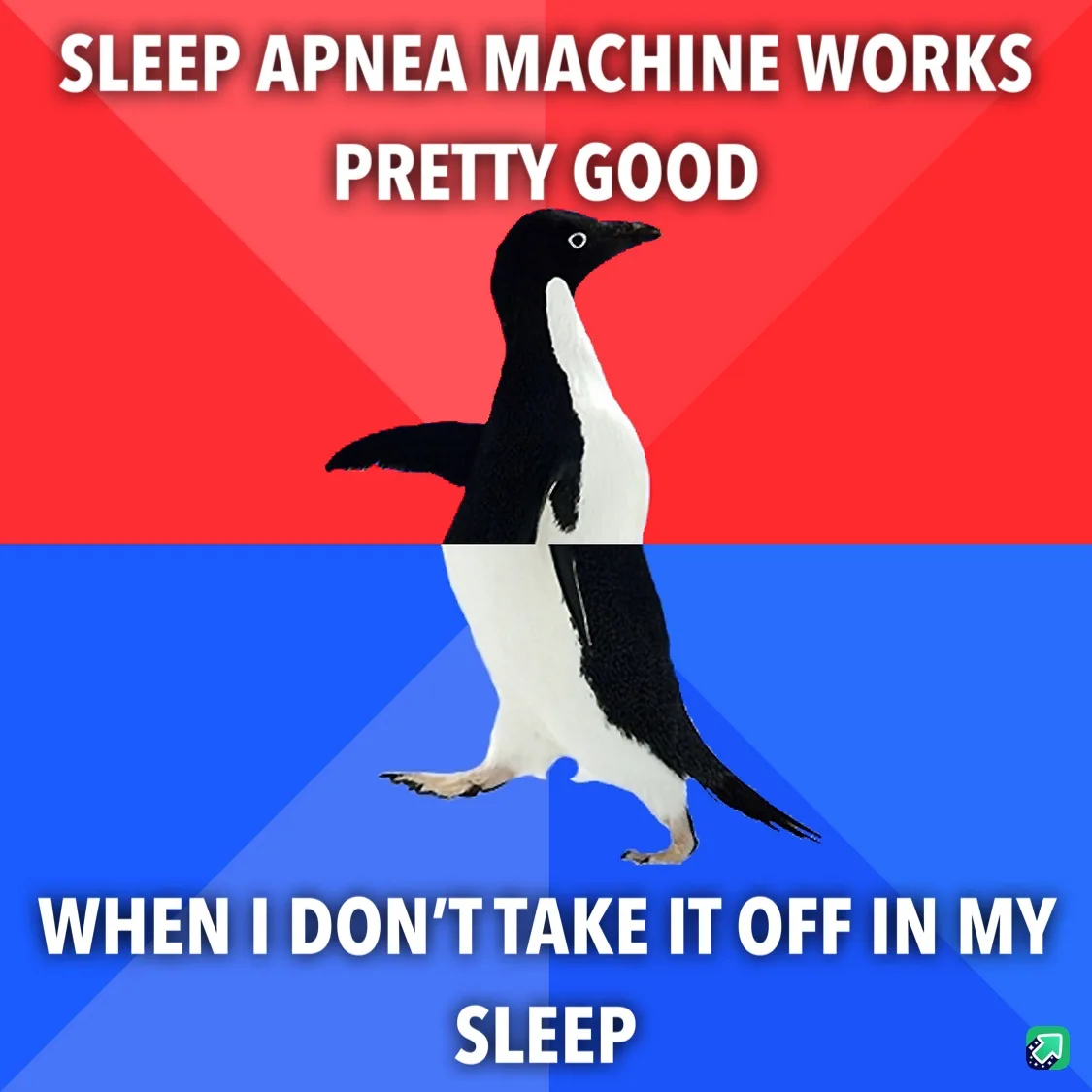 A penguin stands upright against a red and blue background, with white text overlaid in two sections. The top text reads…