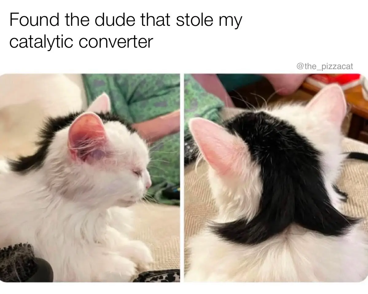 A split image shows a white cat with a distinctive black patch of fur on its head that looks like a mohawk haircut. The left…
