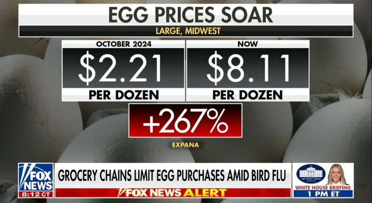 A Fox News graphic shows egg prices skyrocketing from $2.21 to $8.11 per dozen, a 267% increase, with text blaming bird flu…