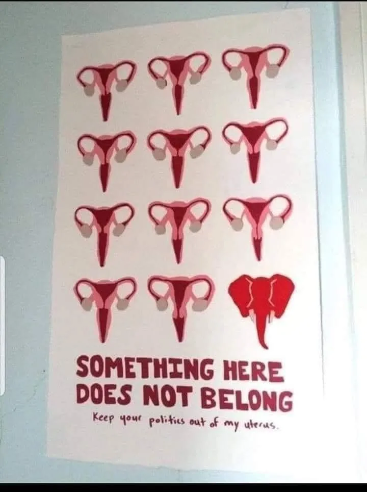 A poster displays a grid of 12 red anatomical illustrations of female reproductive systems, arranged in four rows of three…