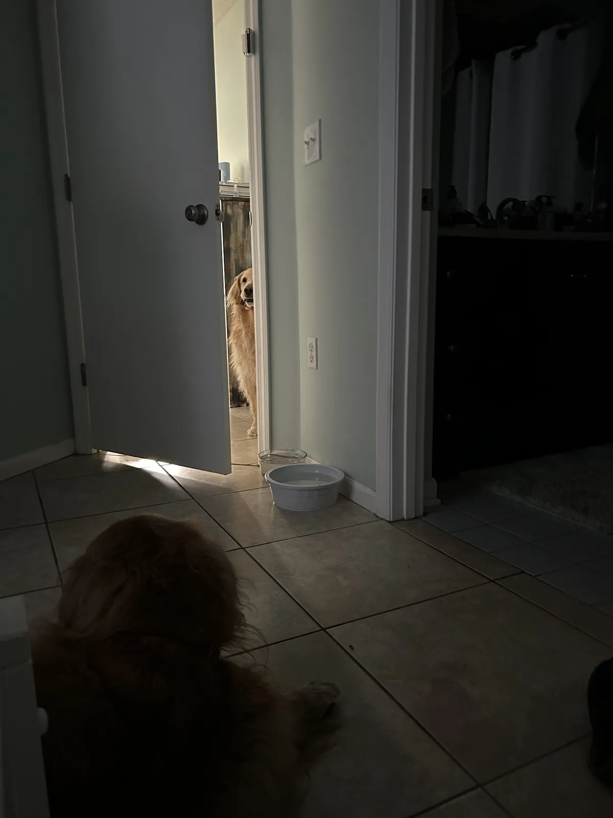 A golden retriever lies on a tiled floor in a dimly lit room, looking toward an open doorway. Through the doorway, another…