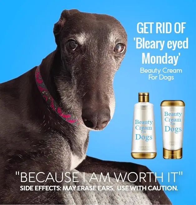 A special message from our generous sponsor
