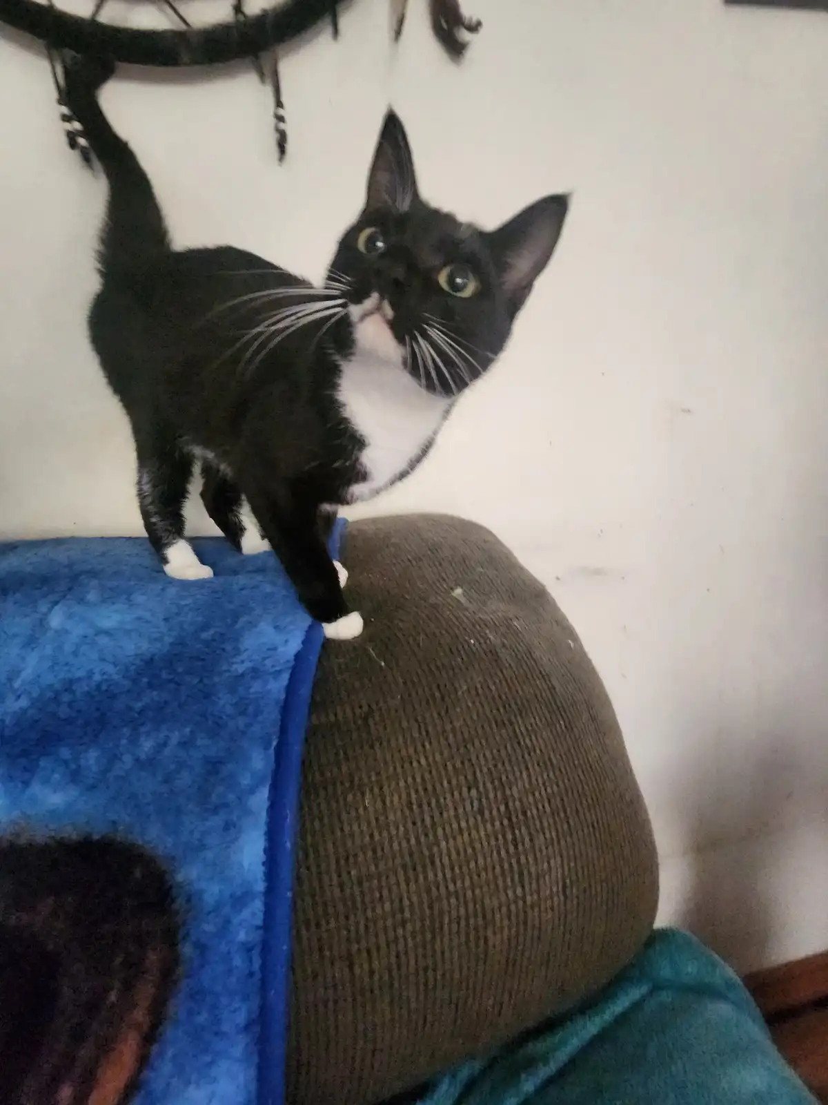 Lilly is finally back home where she belongs!