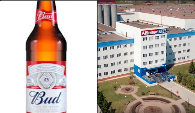 The image is split: left side shows a close-up of a Budweiser beer bottle with its iconic red and white label, and right…