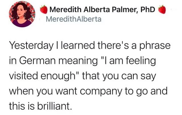 A screenshot of a social media post by Meredith Alberta Palmer, PhD, featuring her profile picture and the text: 'Yesterday…