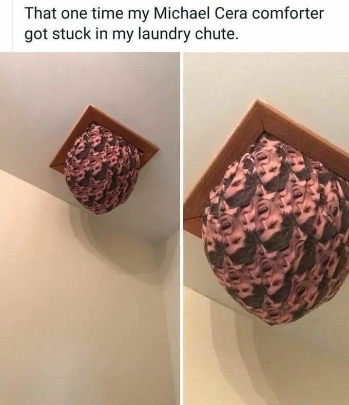 A two-panel image shows a comforter with repeated Michael Cera faces stuck in a laundry chute opening. The left panel shows…