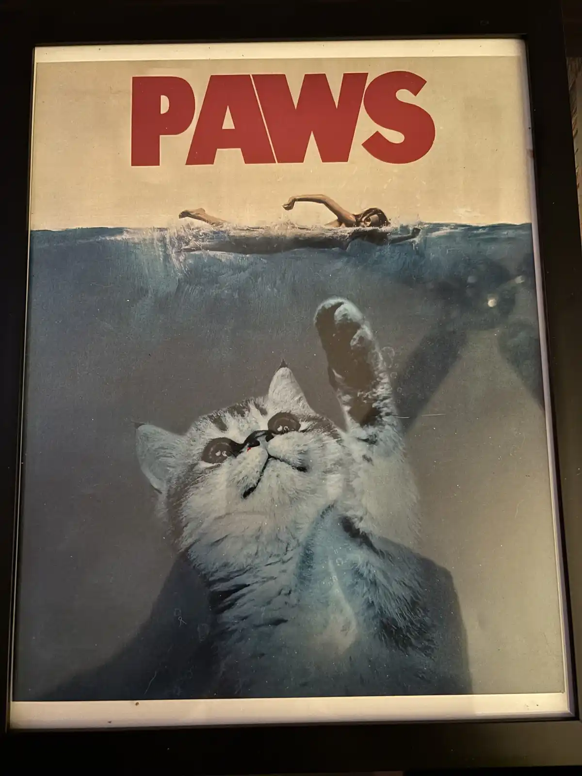A framed poster parodying the movie 'Jaws' with the title 'PAWS' in red letters. The top half shows a person swimming…