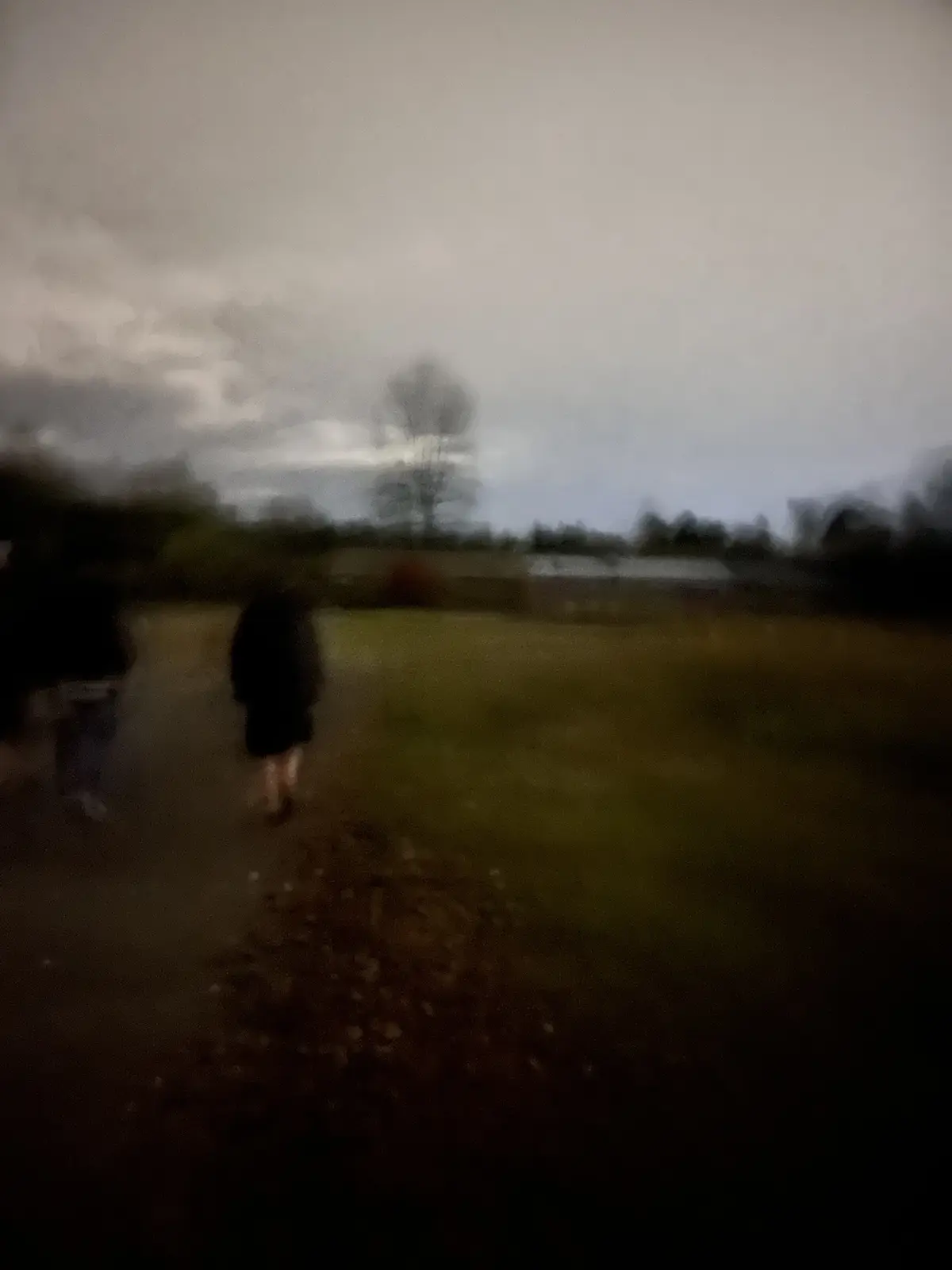 A blurry, low-resolution photo shows two indistinct figures walking away on a path through a field under an overcast sky…