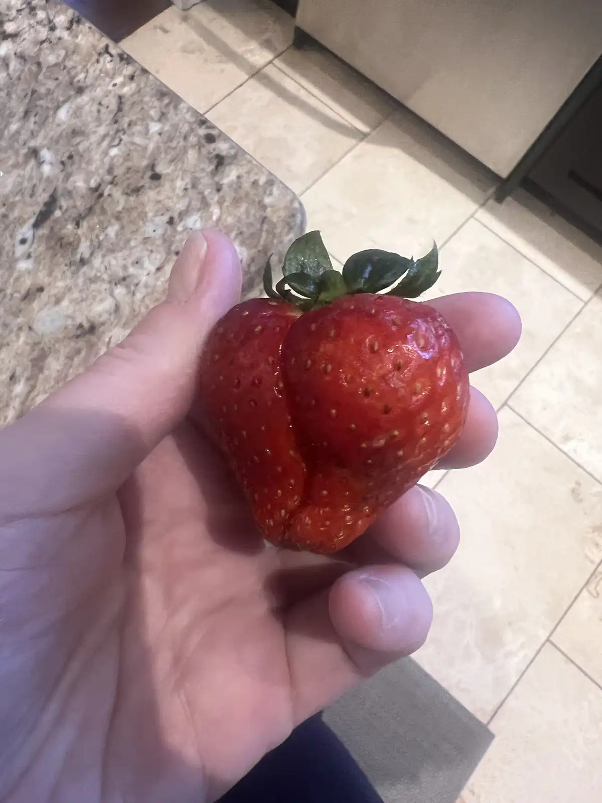 Meet the Cheeky Berry!