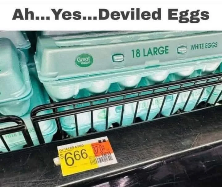 A supermarket egg carton labeled '18 LARGE WHITE EGGS' sits on a shelf with a price tag showing '$666'. The overlaid text…