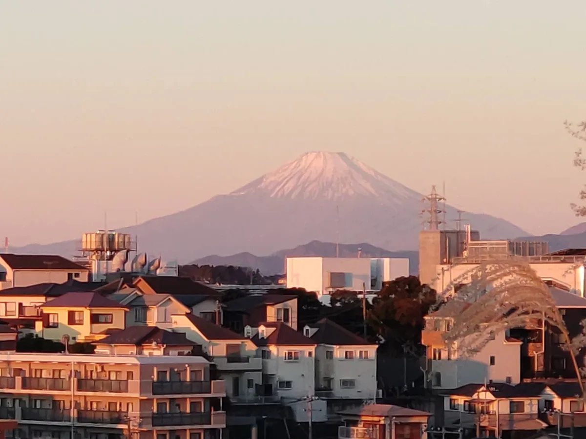 A scenic photo shows a snow-capped mountain, identifiable as Mount Fuji, rising majestically behind a foreground of…