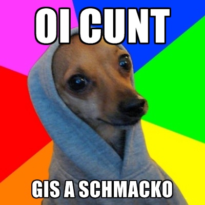 A dachshund wearing a grey hoodie with a rainbow background, overlaid with the text 'OI CUNT' at the top and 'GIS A…