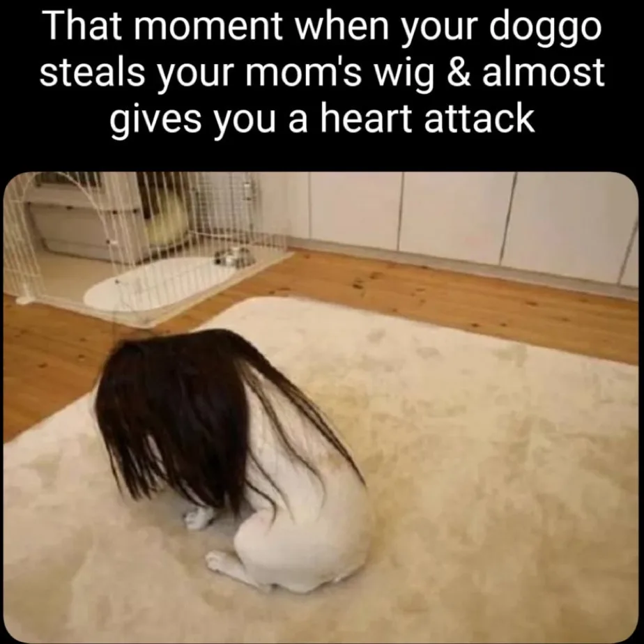When Laughter Strikes: Haha Moments