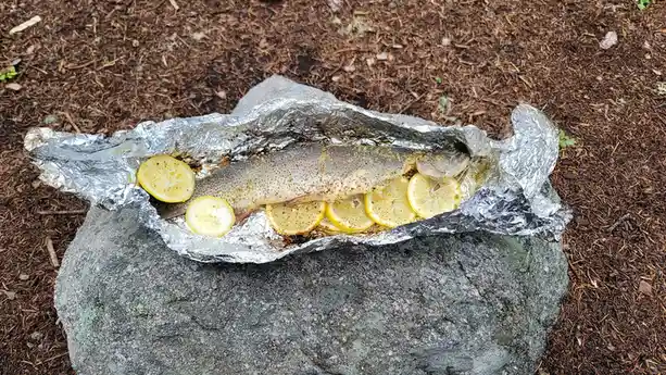 A whole cooked fish, seasoned with pepper and herbs, lies on a bed of lemon slices inside a foil packet, resting on a gray…