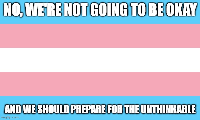 The image displays the trans flag, which consists of five horizontal stripes: light blue, pink, white, pink, and light blue…