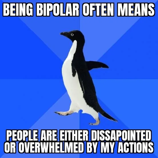 The Rollercoaster of Emotions: Bye Polar