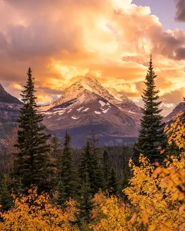 Welcoming the First Days of Autumn: A Seasonal Transition