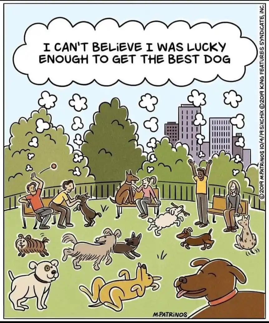 A cartoon depicts a park scene with multiple people and dogs. In the foreground, a large brown dog with a red collar looks…