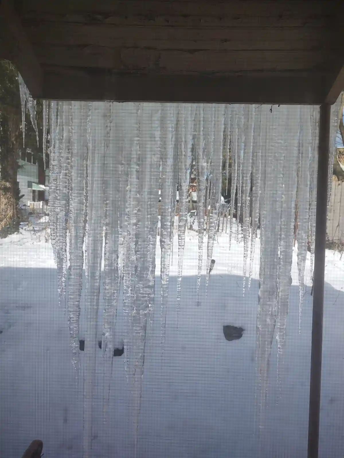 Captivating Winter Shots to Warm Your Soul