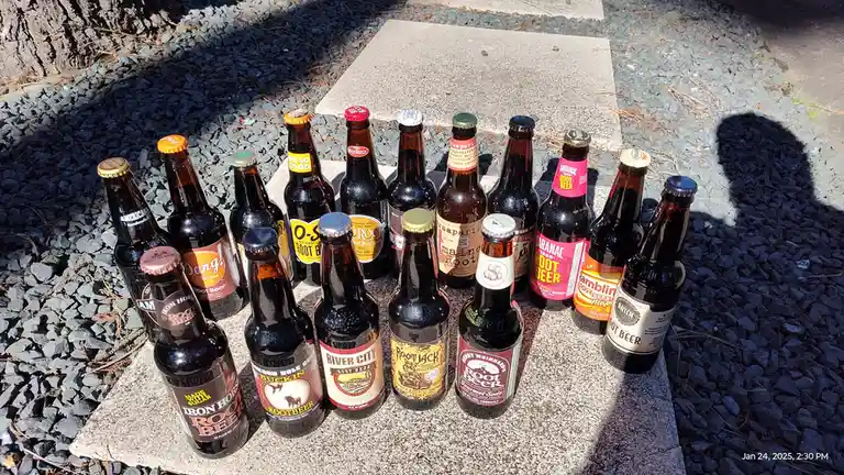 A collection of approximately fifteen different brands of root beer in glass bottles are arranged in two rows on a concrete…
