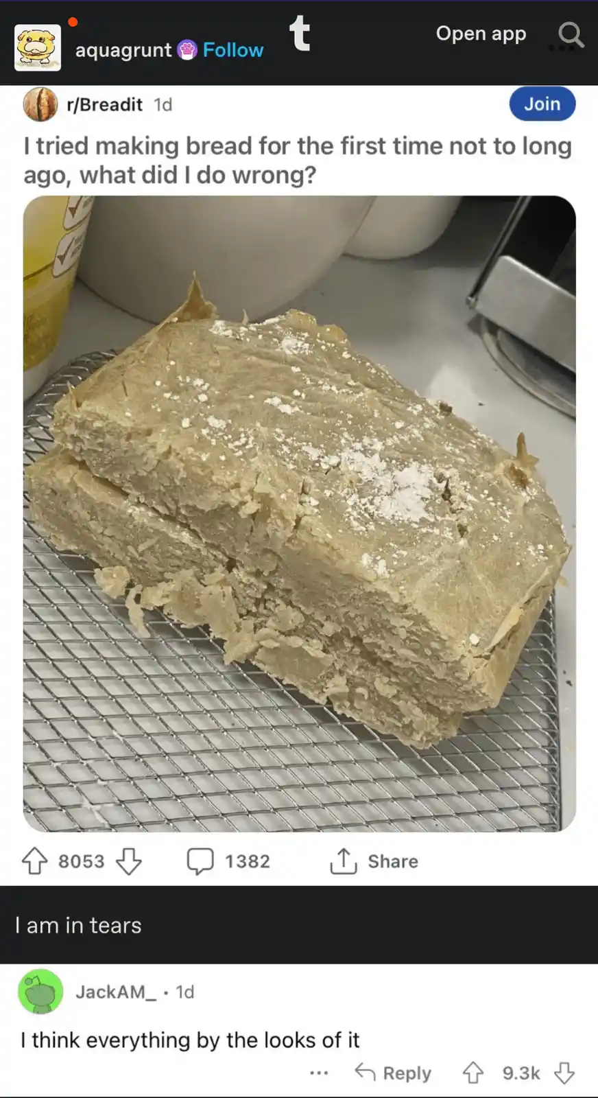 A loaf of bread sits on a wire cooling rack, looking dense, misshapen, and covered in flour, with a comment below reading 'I…