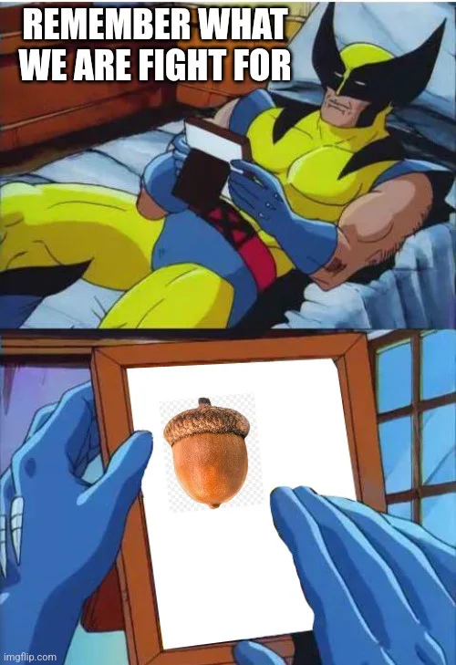 The image is a two-panel meme featuring the comic book character Wolverine. In the top panel, he lies in bed reading a book…