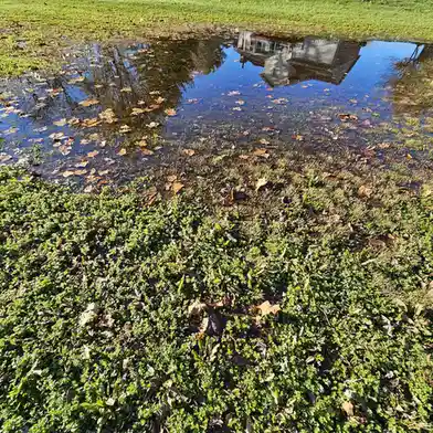 A shallow puddle on grass reflects a house and trees, with scattered brown autumn leaves floating on the water's surface…