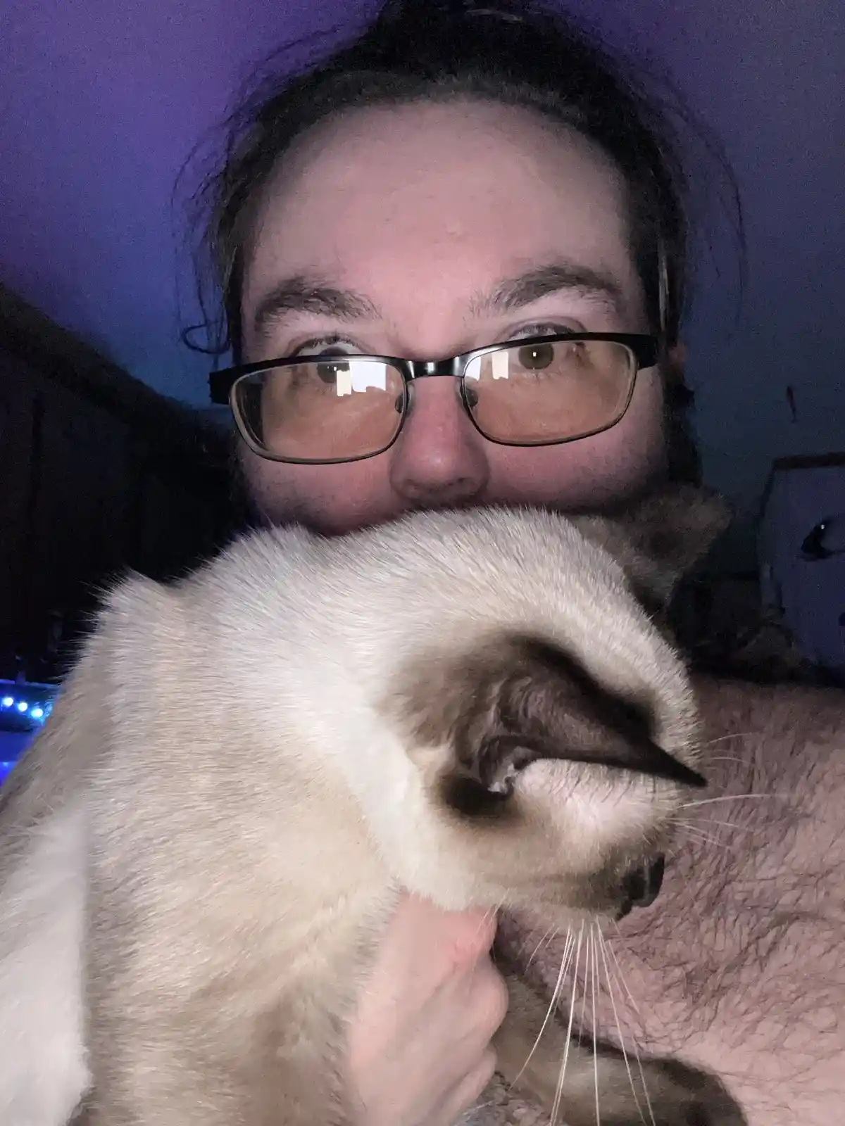 A person with glasses and dark hair is holding a light-colored cat with dark points on its face and ears, looking directly…