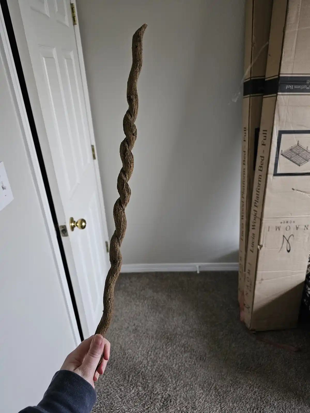 A person's hand holds a long, twisted, gnarled wooden stick resembling a magic wand, standing upright in a carpeted room…
