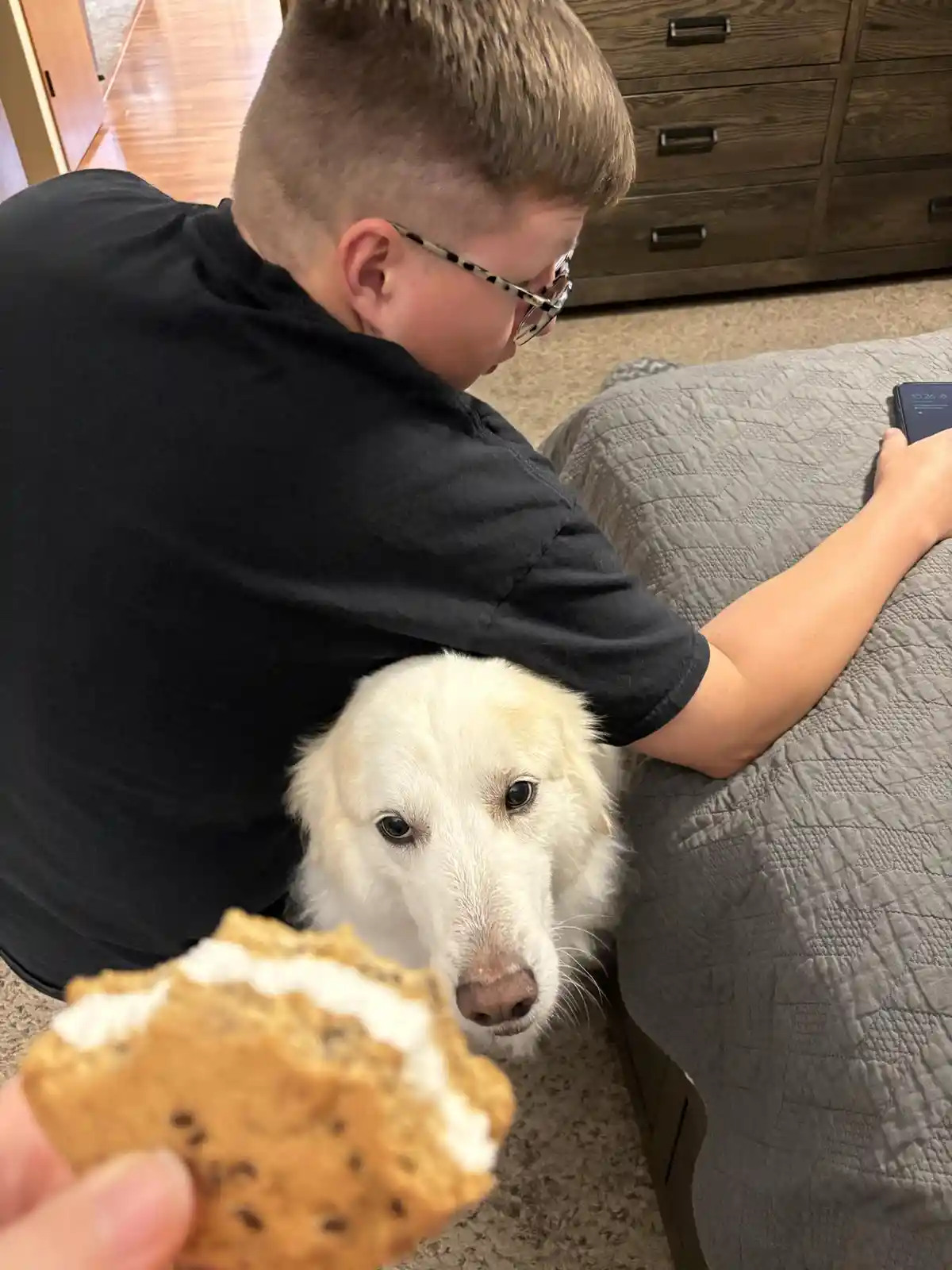 A person in a black shirt and glasses sits on a bed holding a phone, while a white dog with a sad, pleading expression looks…