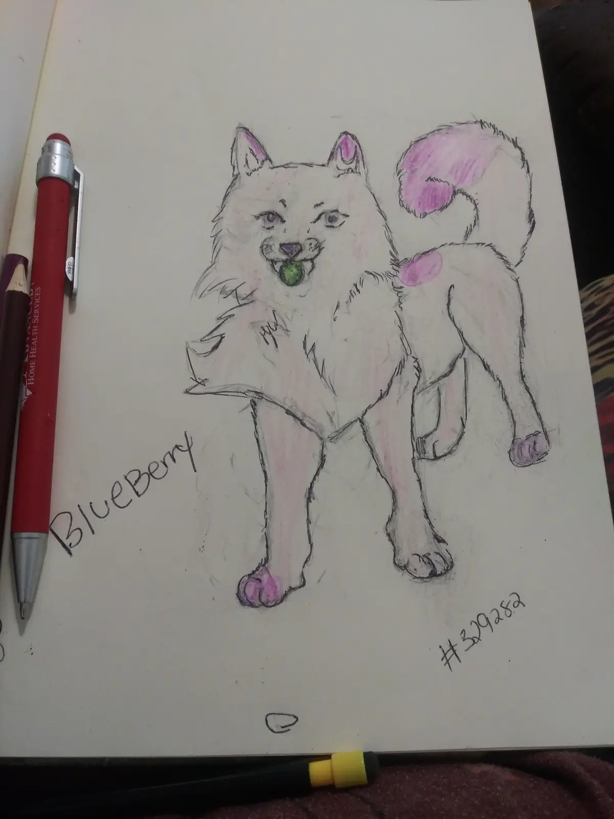 A hand-drawn sketch of a fluffy white dog with purple-tinted ears, tail, paws, and nose, holding a green ball in its mouth…