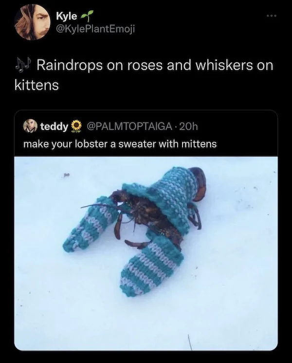 A lobster wearing a teal and gray striped knitted sweater and matching mittens lies on white snow. The image is a screenshot…