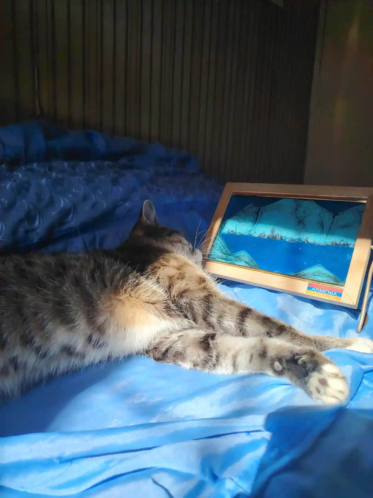 A tabby cat is lying on a blue bedspread, basking in sunlight, with its head near a framed picture of a blue mountain…