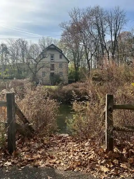 A photo of a rustic stone house partially obscured by overgrown bushes and fallen leaves, viewed through a wooden fence…