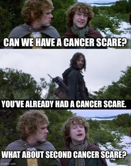 A three-panel meme featuring two curly-haired hobbits from 'The Lord of the Rings' in the top and bottom panels, and a…