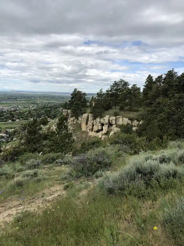 A scenic photo of a grassy hillside with scattered wildflowers, pine trees, and a rocky outcrop overlooking a valley with…