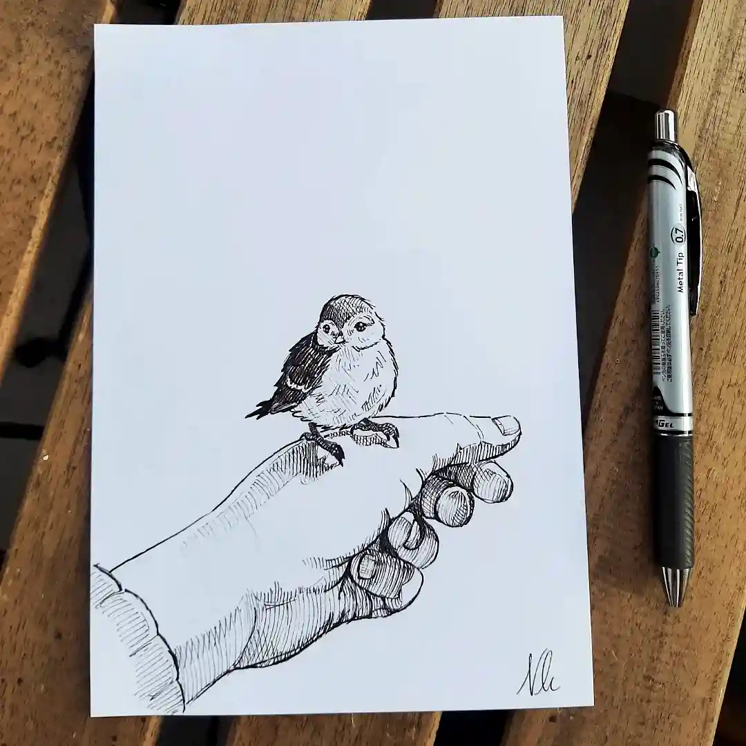 I Created a Charming Little Bird Drawing