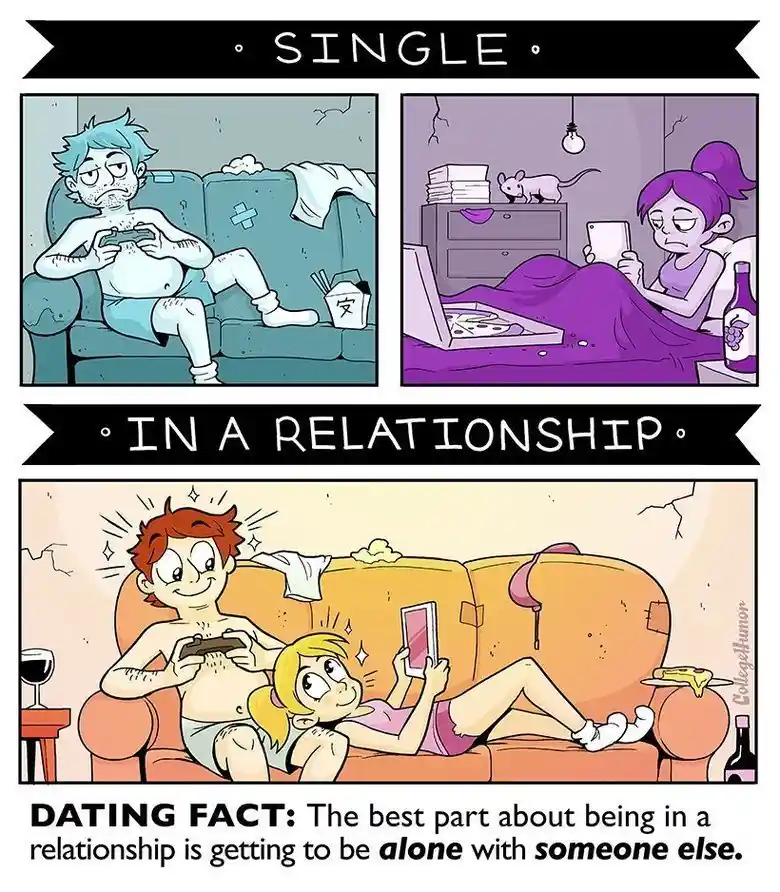This comic strip contrasts two scenarios: 'SINGLE' shows a messy, lonely person on a couch playing a game, while 'IN A…