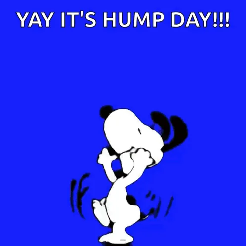 Also Known as Wednesday