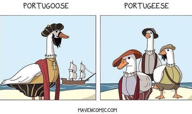 Two-panel comic featuring anthropomorphic geese dressed as Portuguese explorers. Left panel shows a single goose in explorer…